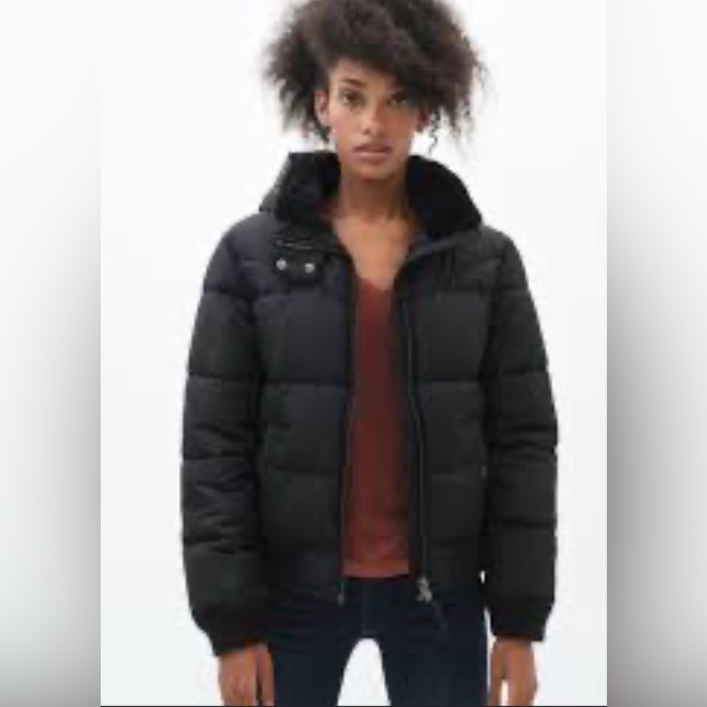 Aeropostale Classic Puffer Puffer Jacket - Black
